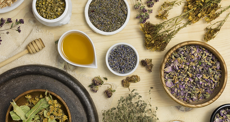 The Best Herbs for Healing Insomnia Symptoms