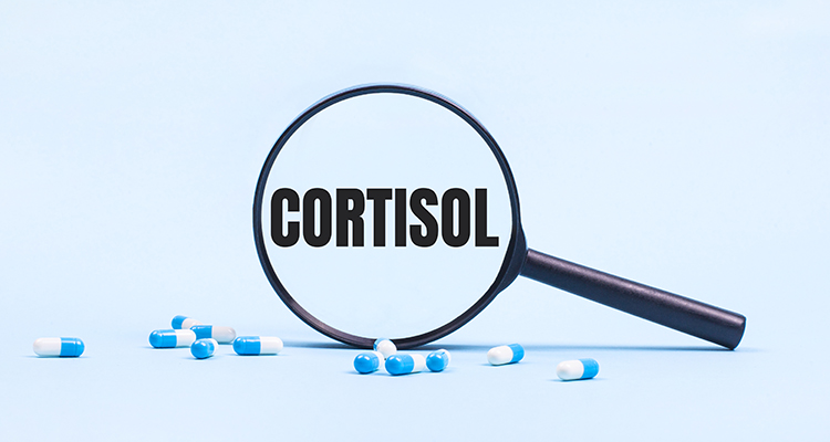 The Role of Cortisol in Sleep